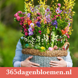 cut flower promotion - marketing for retail - content creation