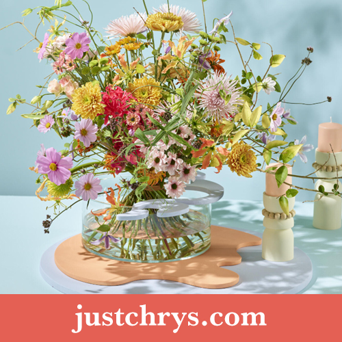 Marketing and promotion chrysanthemums