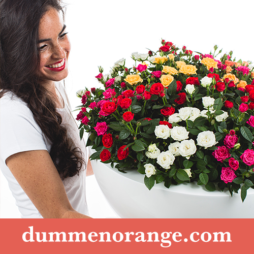 flower product marketing