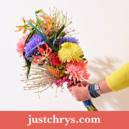 Marketing and promotion chrysanthemums