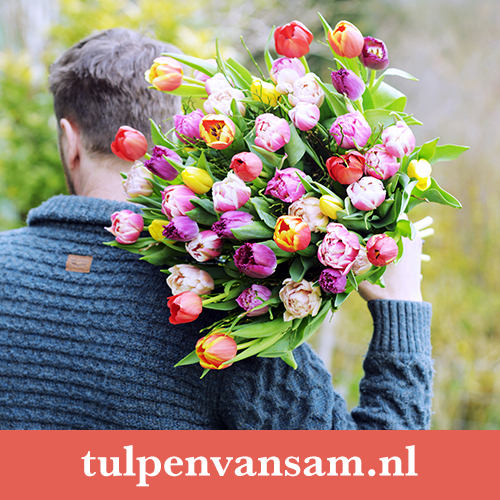 Snijbloemen promotie voor kwekers