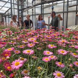 Concept Factory - veredelaar planten promotie