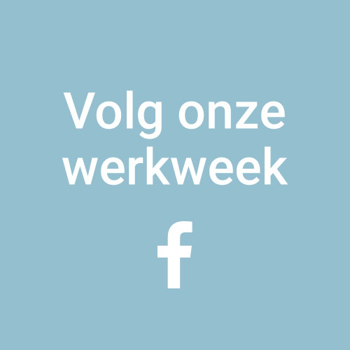 Concept Factory - Volg ons marketing werk- facebook